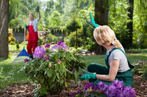 Inspection of a garden bed showing plant issues