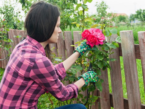 Deck maintenance and repair services