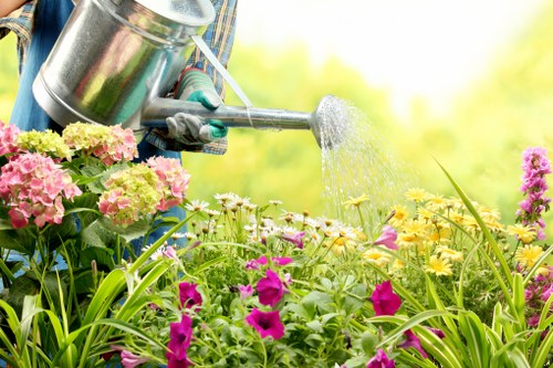 Lush green garden with healthy plants