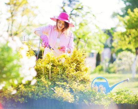 Professional garden maintenance service in action