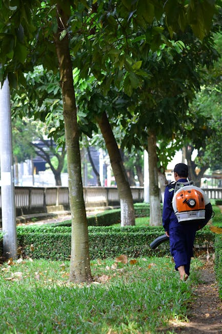 A gardener, wearing a dark long-sleeved top and a grey cap, is trimming a neatly maintained hedge with a pair of garden shears. The hedge consists of dense, green foliage with small, light-colored flo